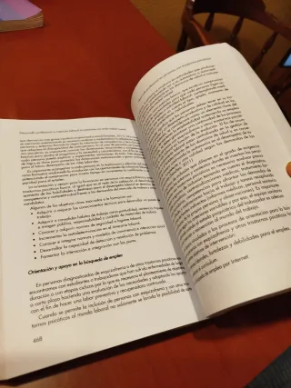 Desarrollo profesional e inserción laboral en p...