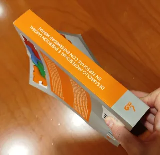 Desarrollo profesional e inserción laboral en p...