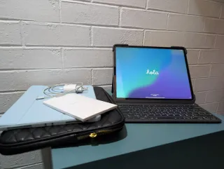 iPad Pro 12.9 512GB 4ª Gen Impecable