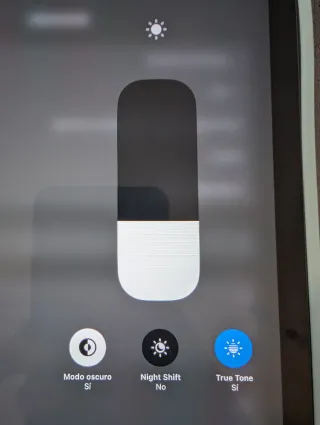 iPad Pro 12.9 512GB 4ª Gen Impecable