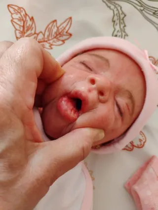 Bebé Reborn Silicona