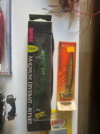 2 Carrete de pesca Penn Senator 113 mas accesorios