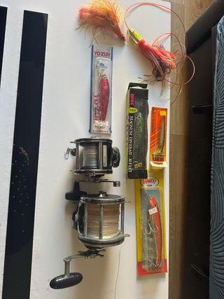 2 Carrete de pesca Penn Senator 113 mas accesorios