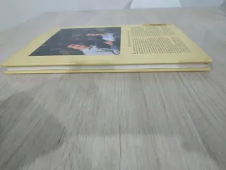 Los Goblins Del Laberinto