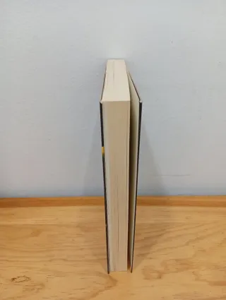 EL ENGAÑO DE GOOGLE: UNA POTENCIA MUNDIAL INCON...