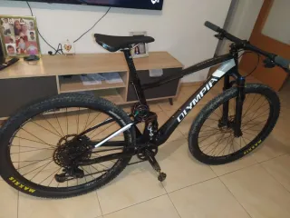 Bicicleta de montaña