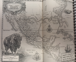 Cabeza de Vaca (Spanish Edition)