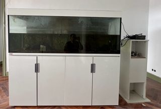 Acuario Eheim Incpiria 500 Precio Nuevo 3200