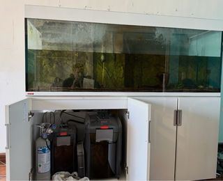 Acuario Eheim Incpiria 500 Precio Nuevo 3200