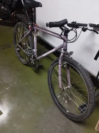 Bicicleta Montaña Morada