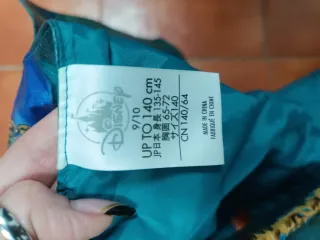 Disfraz Descendientes