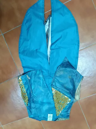 Disfraz Descendientes