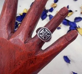 Anillo Time Force CR chapado Plata