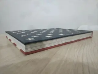 America Swings Taschen