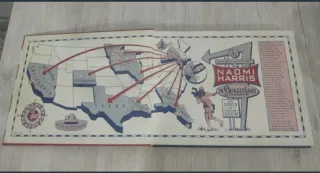 America Swings Taschen