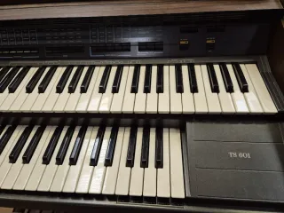 Organo Farfisa TS 601
