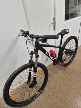 Bicicleta Bergamont Revox Ed. Limitada