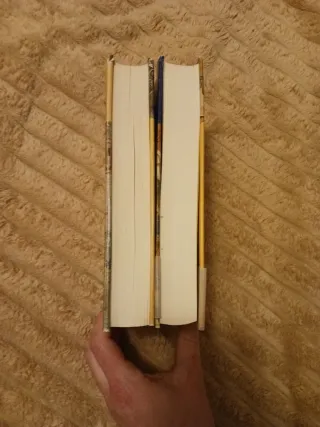 Arqueros del Rey   La batalla del Grial