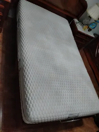 Cama ortopédica eléctrica con mando