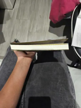 Mentira - Care Santos