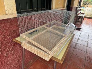 Jaula para codornices