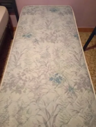 2 Colchones 80x180cm