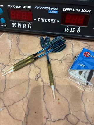 Diana electrónica y dardos