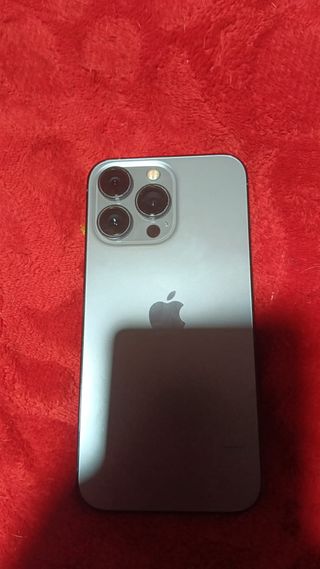 iPhone 13 Pro Gris