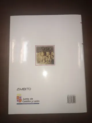 Tomo II. Arte Románico