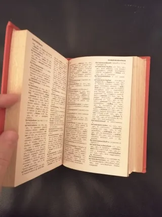 Dizionario tedesco-italiano italiano-tedesco