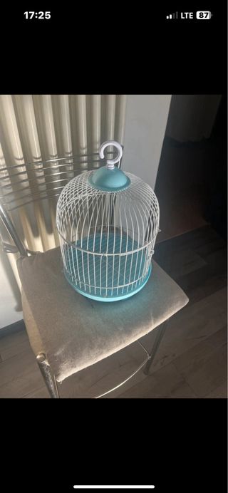 Gabbietta per uccelli azzurra