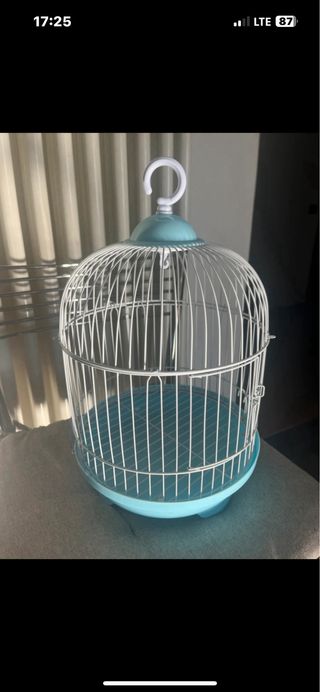 Gabbietta per uccelli azzurra