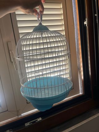 Gabbietta per uccelli azzurra