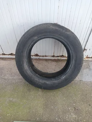 NEUMATICO 14"
