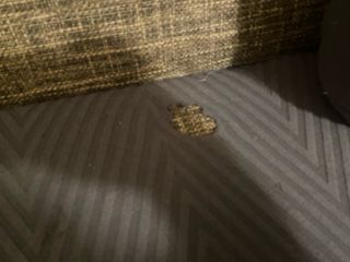 Sofá cama con chaise longue.