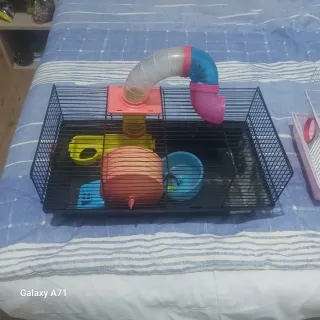 Jaula para roedores con accesorios