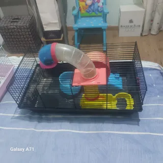 Jaula para roedores con accesorios