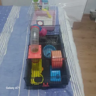 Jaula para roedores con accesorios