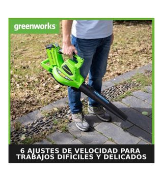 Soplador Aspirador Hojas Greenworks