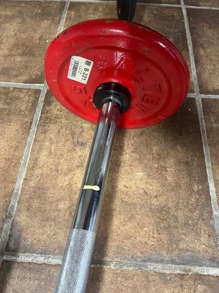 Mancuernas Salter con discos