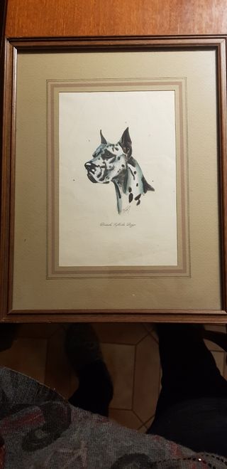 Immagine di cane acquerello antico