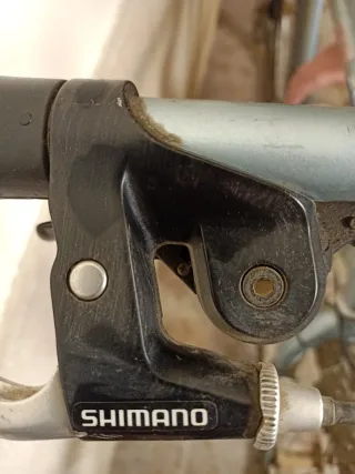 Bicicleta de montaña plateada