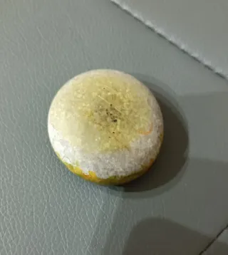 Piccolo sasso fermacarte con albero dipinto a mano