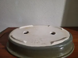 Maceta Bonsai Cerâmica Bege e Verde