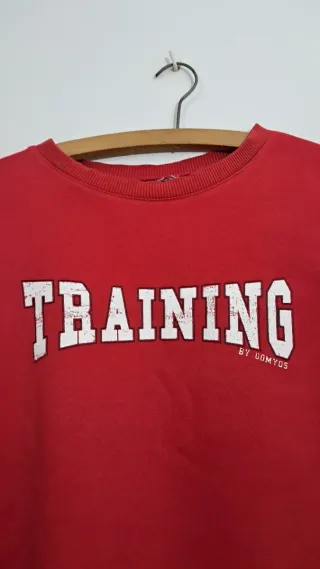 Lote 2 Jerseys Domyos Training Azul y Rojo