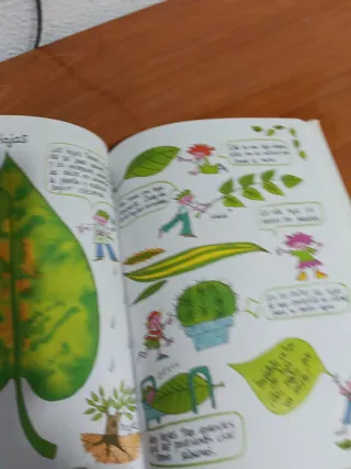 Jardineria para niños