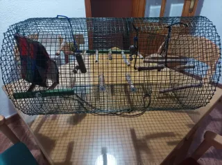 Jaula para pájaros de alambre
