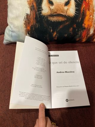 O que sei do silencio