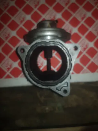 Válvula EGR TDI 2.0