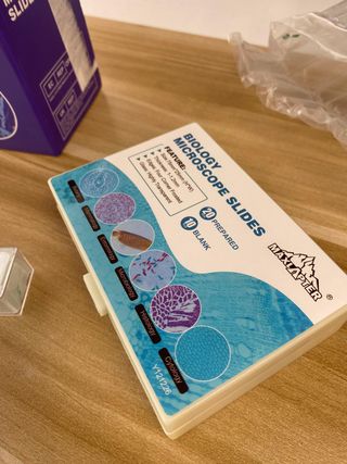 Set 30 portaobjetos microscopio